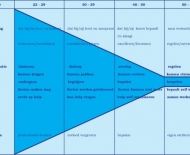 schema2_voor-in-tekst_2